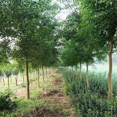 1629114335893868.jpg 1629114335893868.jpg