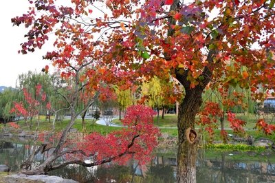 1629114357322838.jpg 1629114357322838.jpg