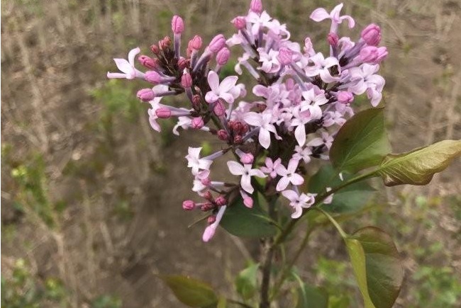 1629200184859957.jpg 1629200180.jpg