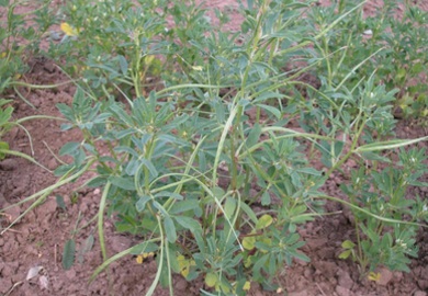 1629274724466646.jpg 1629274724466646.jpg