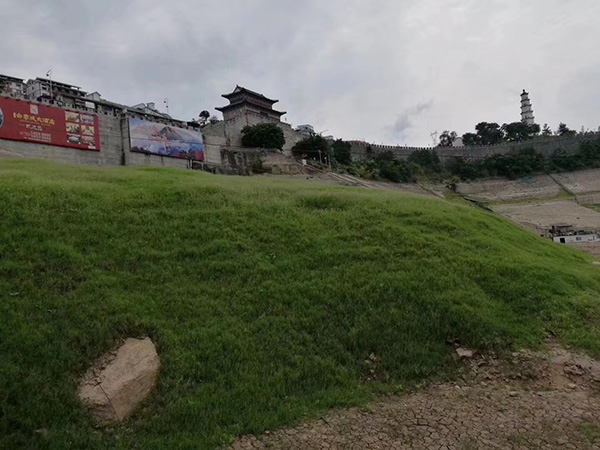 百慕大草坪護(hù)坡圖片