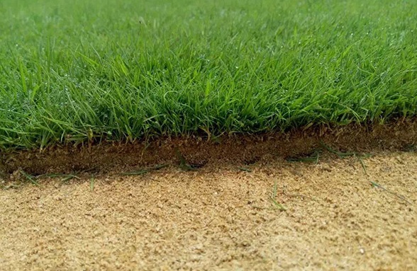 1629876564780456.jpg VQTSSI`MDWY8KB@5L}9)@~U.jpg