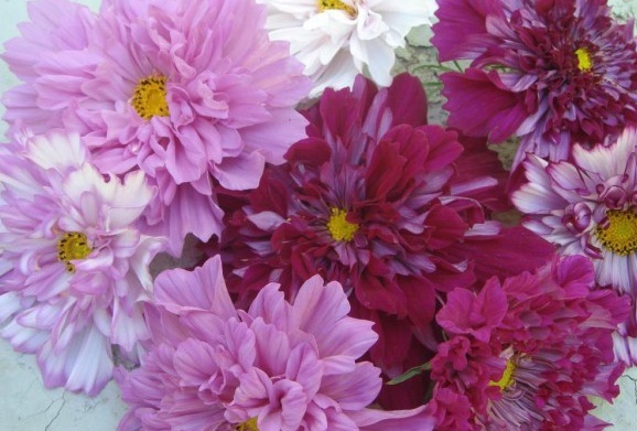 1629949129216028.jpg 8`~FTFA_HMLA_MN3_R7J)ZH.jpg