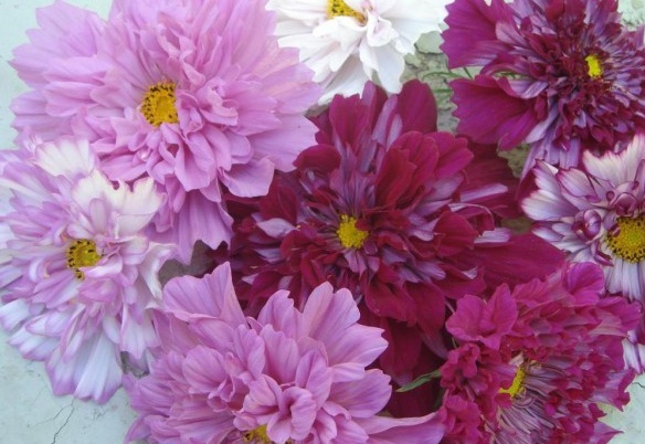 1629953410202521.jpg H)6BVM35M0`W4KTVY9Q8{EW.jpg