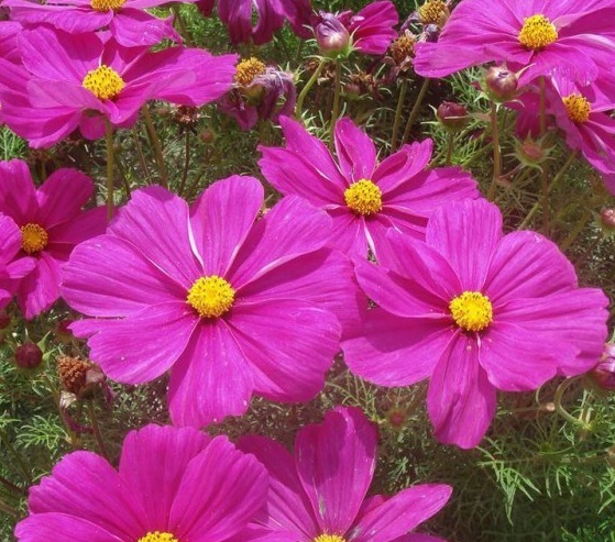 1630071465941440.jpg }CSKHID7_%D(F3B}5QL~W_O.jpg