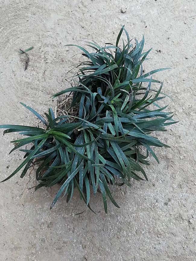 ??￥??????éo|??????é??è??