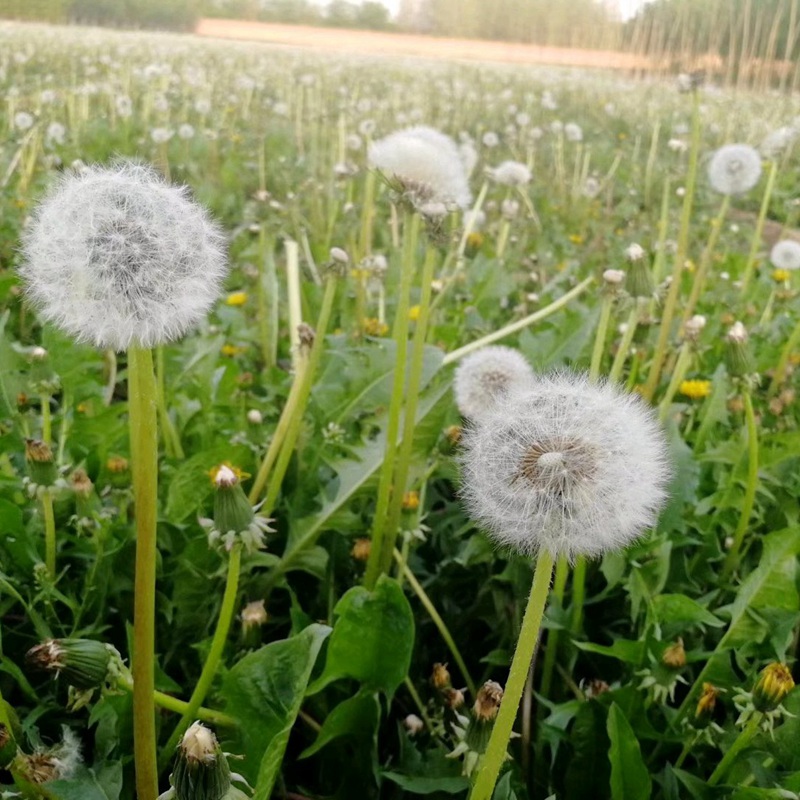 è?2???è?±?o??¤§?????????????¤§?|??????&nbsp;??￥é?????