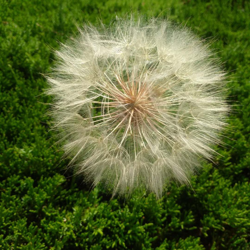 è?2???è?±?o??¤§?????????????¤§?|??????&nbsp;??￥é?????