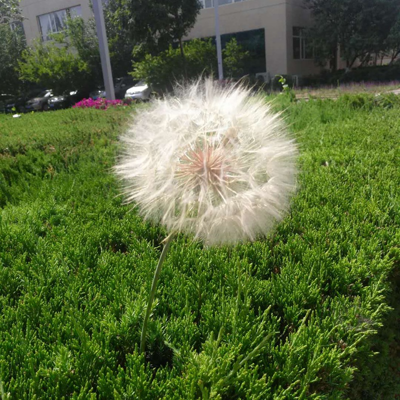 è?2???è?±?o??¤§?????????????¤§?|??????&nbsp;??￥é?????