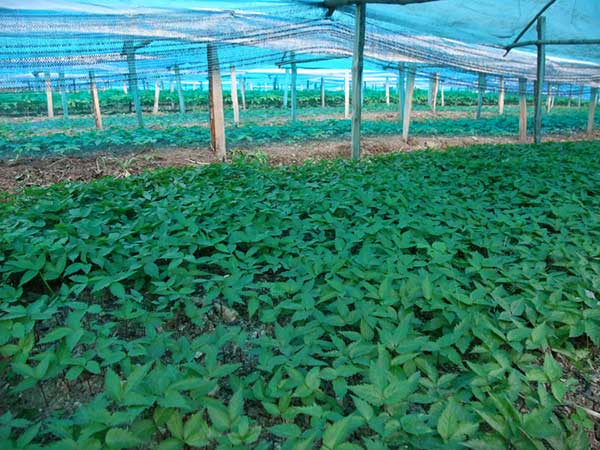 ?oo????§??-????è????oè????????