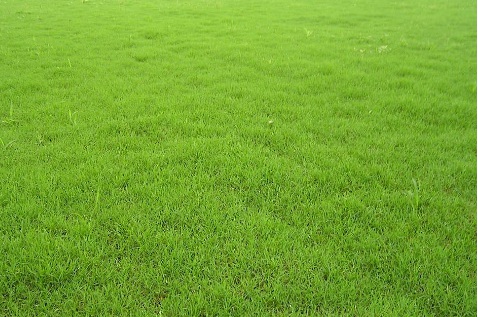 1630248099875799.jpg image.jpg