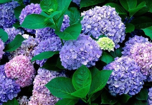 1630471056365140.jpg image.jpg