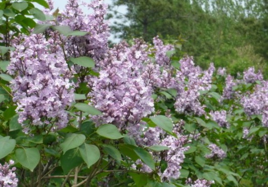 1630501025522899.jpg image.jpg