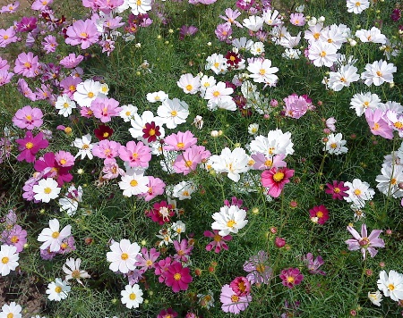 1630675235240368.jpg image.jpg