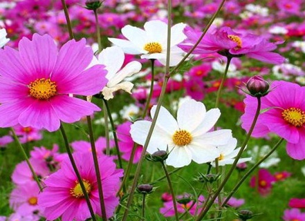 1630675247730164.jpg image.jpg