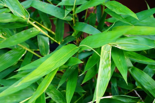 1630912685868783.jpg 1630912685868783.jpg