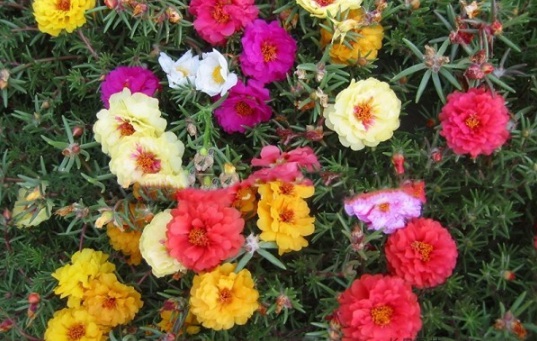 1630919526606582.jpg image.jpg