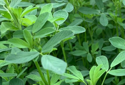 1631061568280204.jpg 1631061568280204.jpg