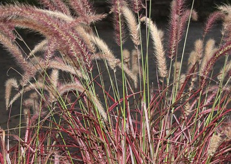 1631065358156808.jpg image.jpg