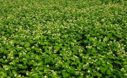 1631081604351639.jpg 1631081604351639.jpg