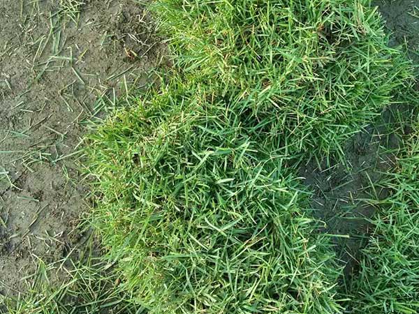 ???????&nbsp;1è????a??o??°