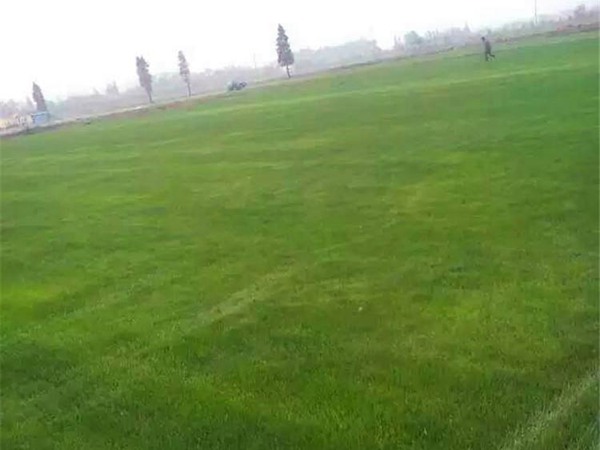 ??aè??é￠??§??-??????-?§???1?3?????§??¤?????·§