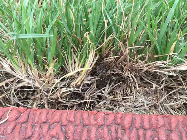 ???????&nbsp;1è????a?????o??????