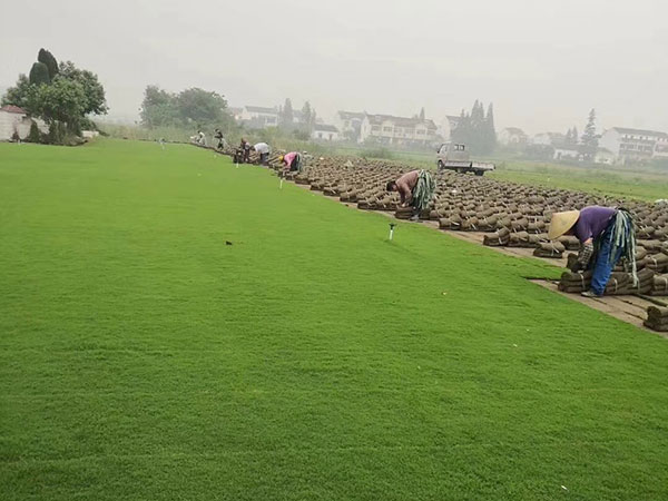 ????2-è??è????a??????