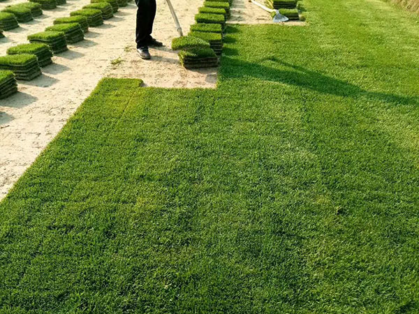 ?¤??1′???é??éo|è????????