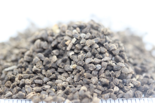 ???￡???§?????¨?????§?§???￥?-??