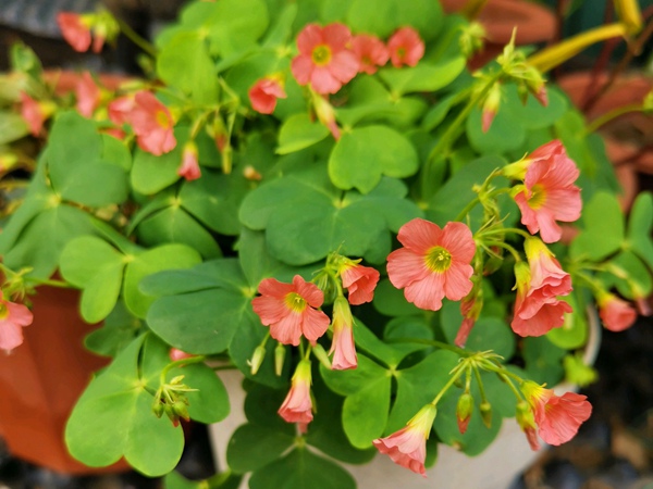 ??????é?￠?μ?è??