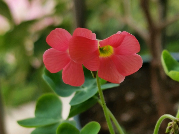 ??????é?￠?μ?è??