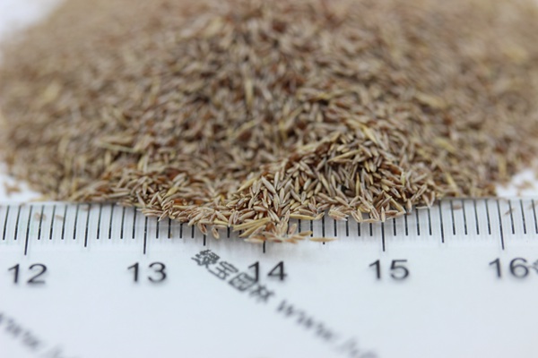 ??aè??é￠??§??-?