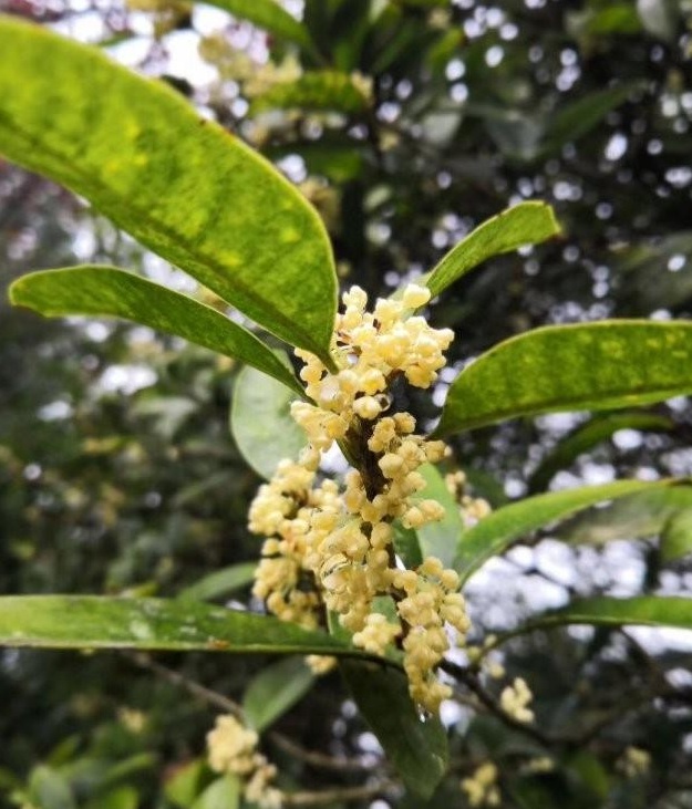 1631499346997747.jpg 1631499346997747.jpg