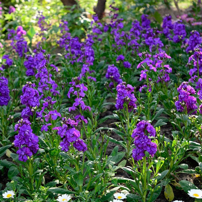 1631598220763966.jpg dd9edae7c79f7eb8530dd52aad631c1a_4be048024cbd36ec438964934e2db0eb.jpg