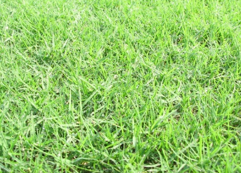 1631843905956786.jpg 1631843905956786.jpg