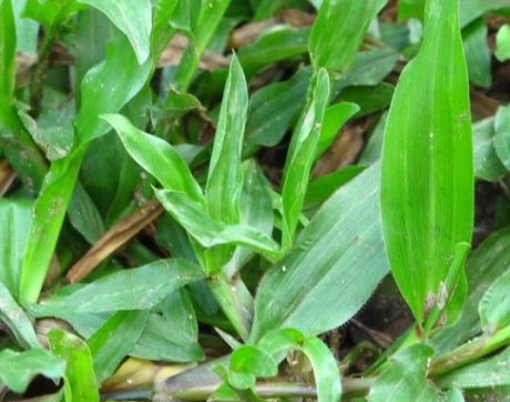 1631859146677970.jpg image.jpg