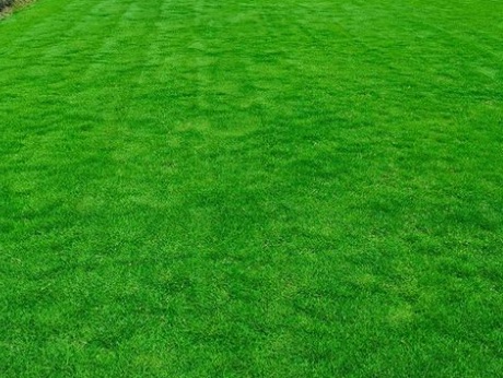 1631859217159379.jpg image.jpg