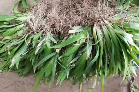 1631867387238584.jpg image.jpg