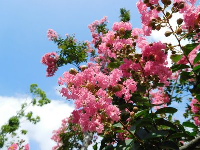 1631972766578826.jpg 1631972766578826.jpg