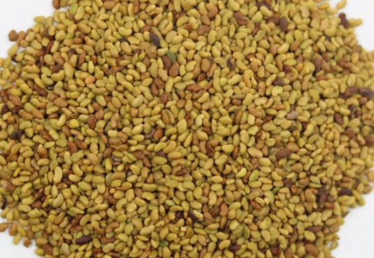 1632290042873533.jpg image.jpg