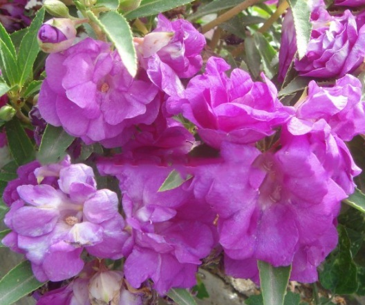 1632450615362898.jpg image.jpg