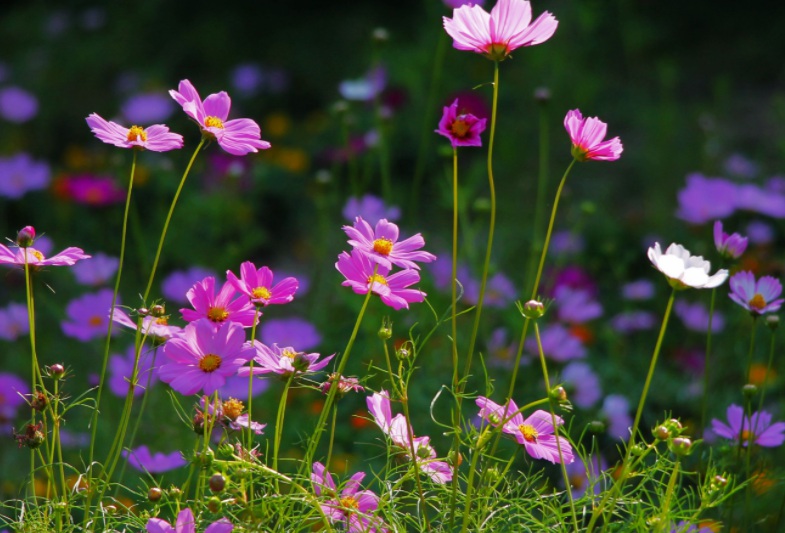 1633506796223984.jpg 1633506796223984.jpg