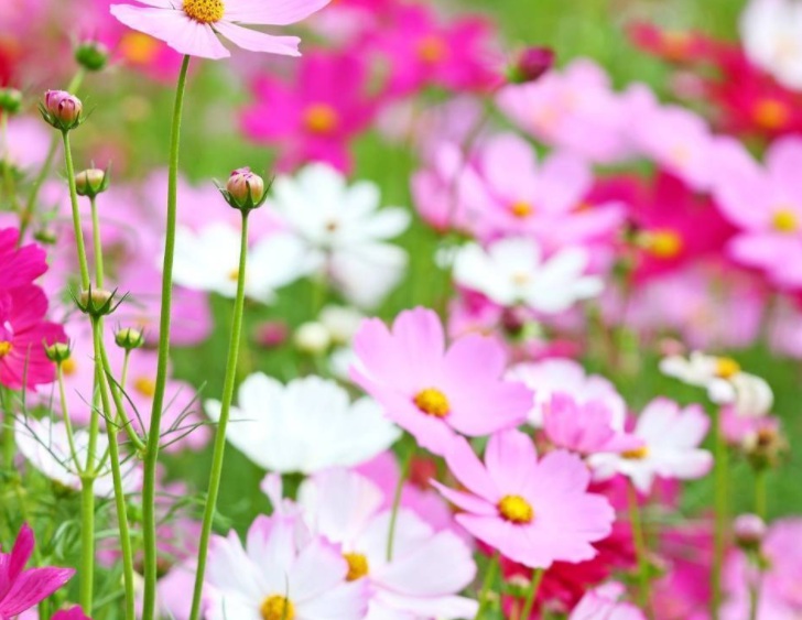 1633506805981446.jpg 1633506805981446.jpg