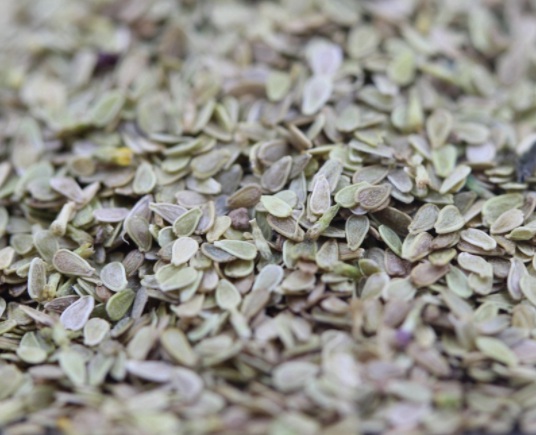 1634193421721258.jpg image.jpg