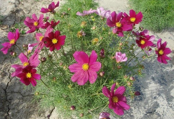 1634466348588558.jpg 圖片.jpg