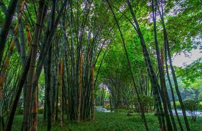 1637146209662740.jpg 1637146209662740.jpg