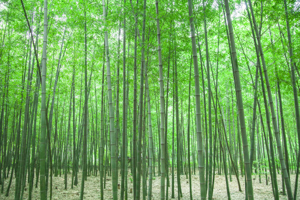 1637370734496652.jpg 1637370734496652.jpg