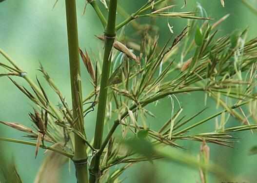 1637370876614247.jpg 1637370876614247.jpg