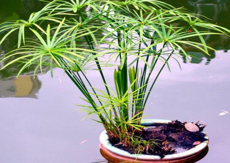 1637383757232630.jpg 1637383757232630.jpg